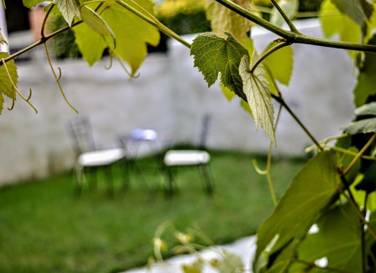 Casina Dello Zio Villa Verbania Dış mekan fotoğraf